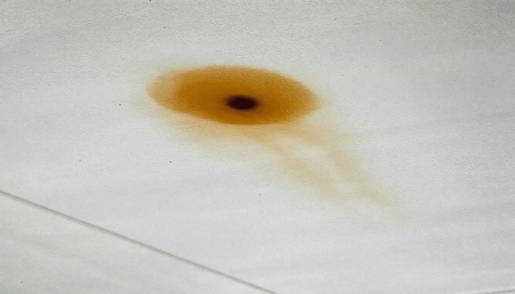 An image showing early signs of a roof leak, such as water stains on a ceiling.