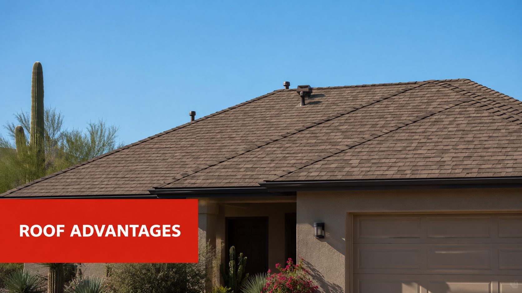 A brown asphalt shingle roof on a modern suburban house with a cactus garden in the foreground.
