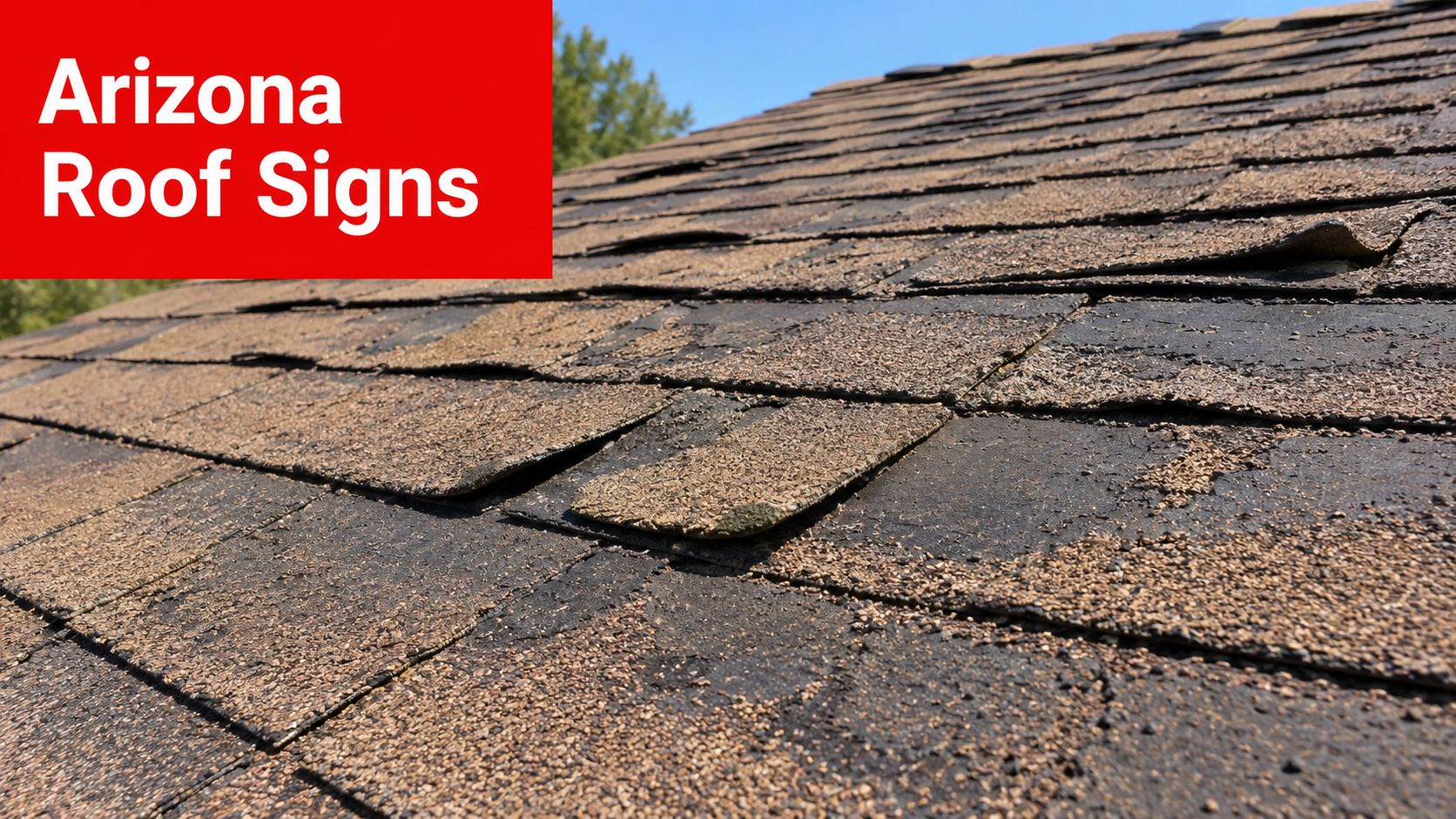 A close-up view of a damaged and worn asphalt shingle roof needing repair in Arizona.