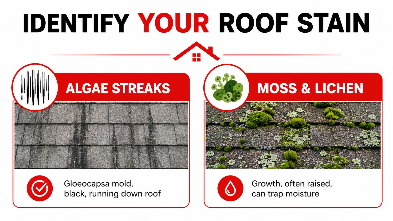 An infographic showing how to identify roof stains, specifically distinguishing between black algae streaks and green moss growth.